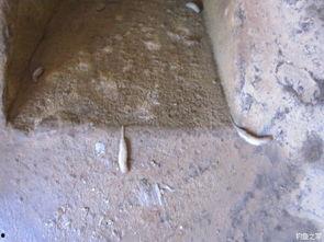 蛆钓鱼视频,蛆虫引诱，捕捉鱼儿乐趣无穷