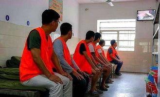 菏泽看守所视频,探秘我国司法监管体系